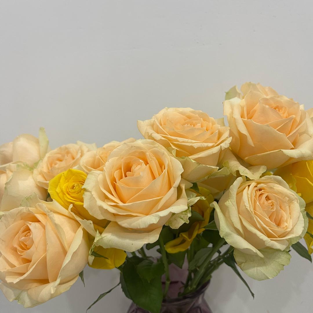 微酿酒酿丸子💕💕💕