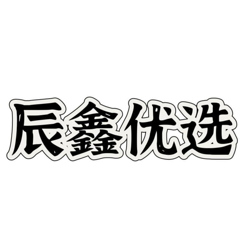辰鑫科技优选店