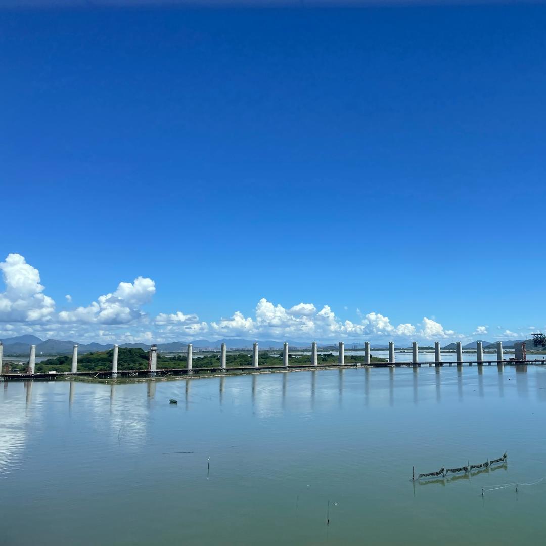 静观其变゛ぶ、tou心