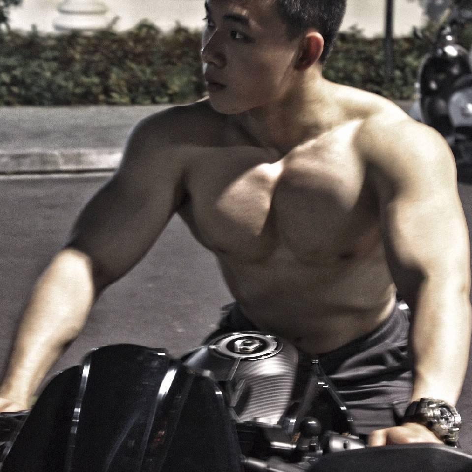 辰龙