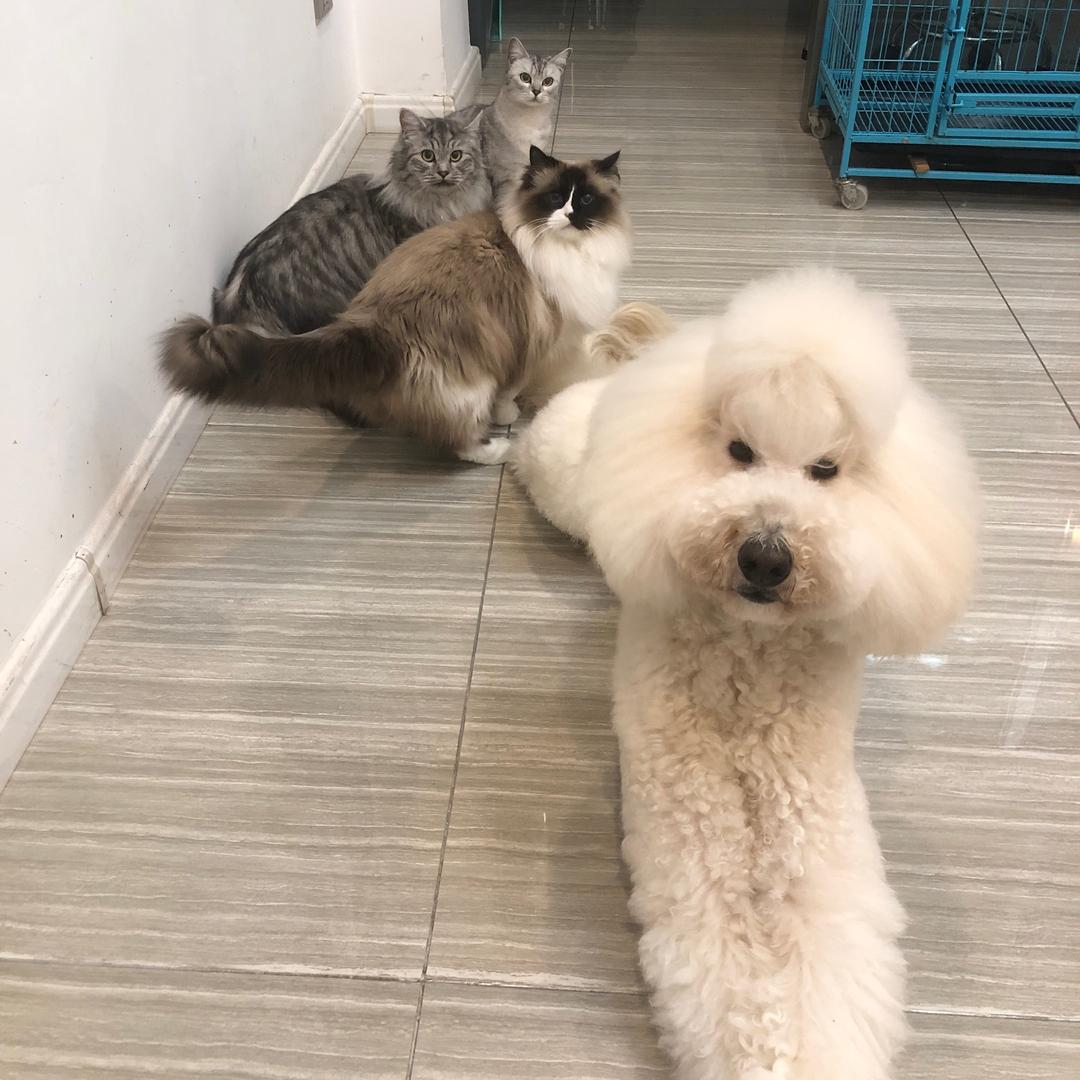 干啥呢烁