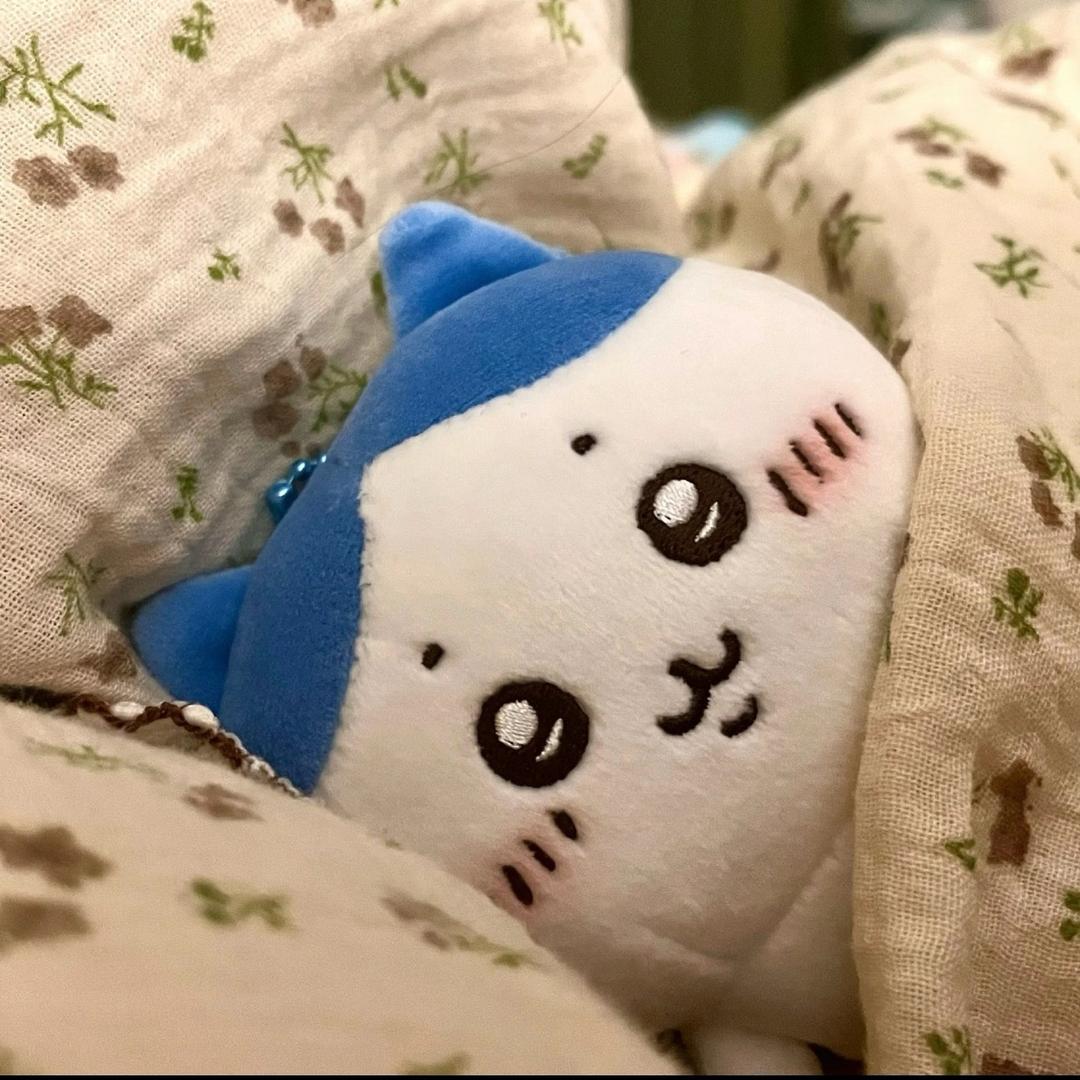 .。