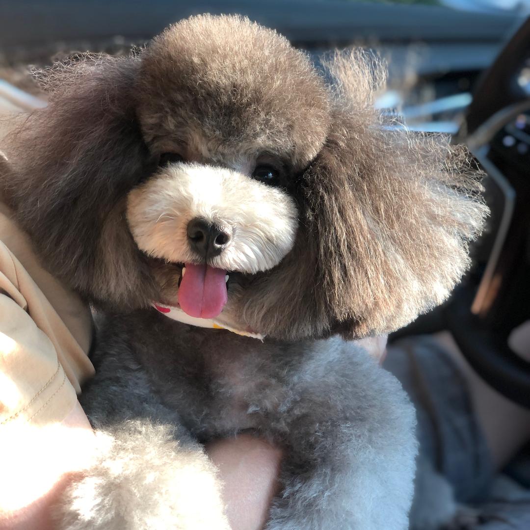 汉娜的六个宝贝