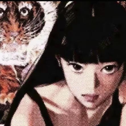 晚安茹子