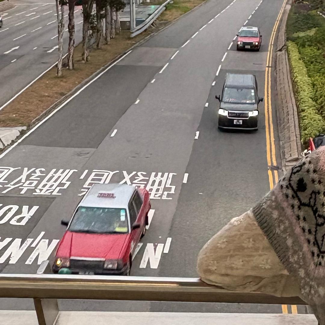 大大来啦