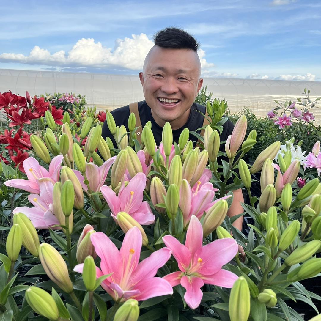 丰哥的花园