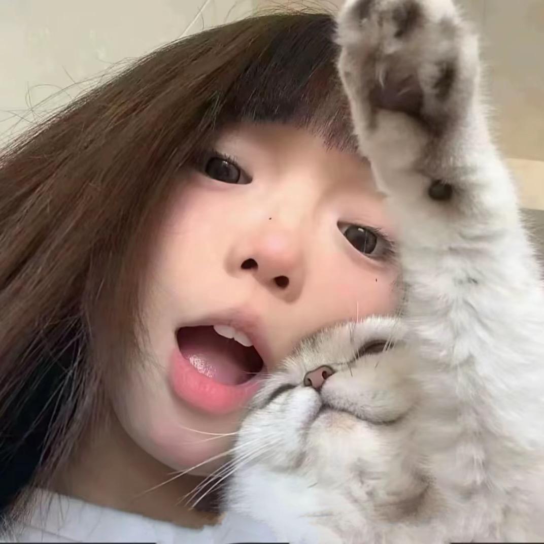 丹彡🍁
