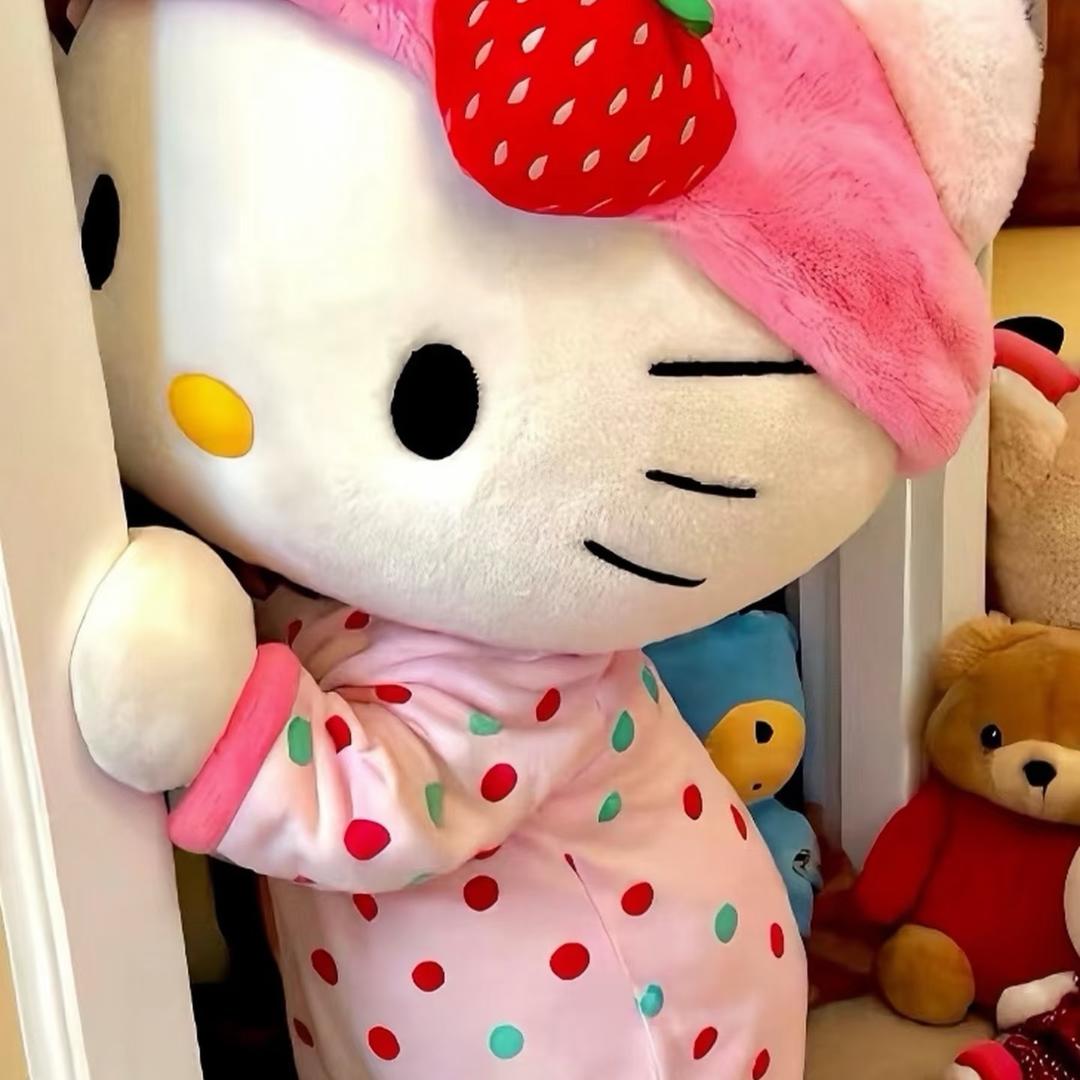 🐰小梁在这里