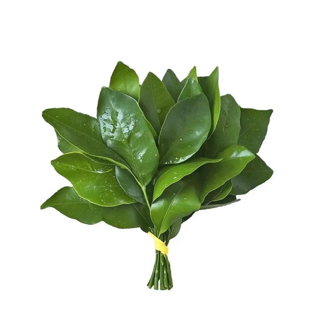 赖床舒芙蕾（有趣版）