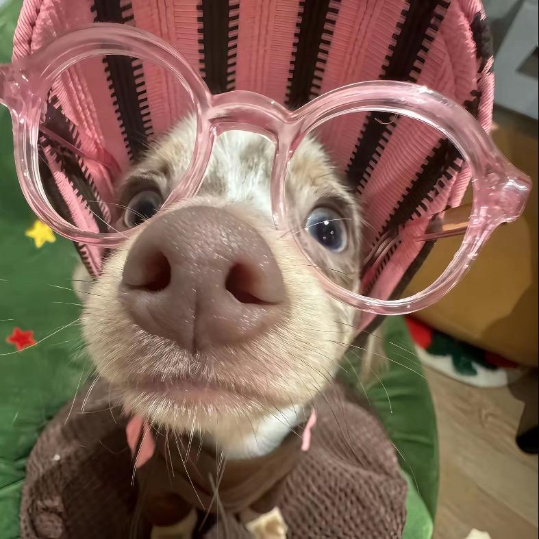 多变的火爆辣椒