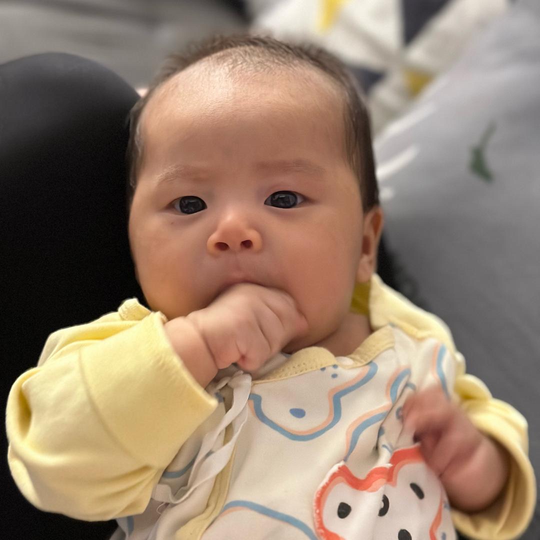 毛球与可乐