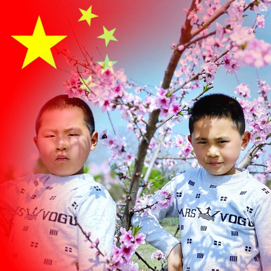 鑫烁生态农场：虹北村