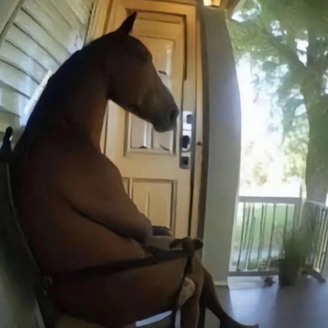 我在风花雪月里等你