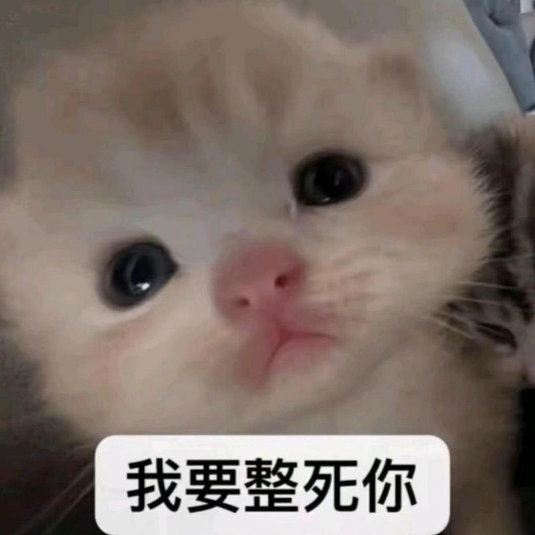 我有精神病，别和我说话