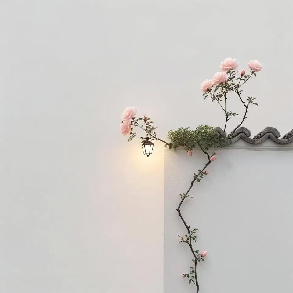 高富贵儿