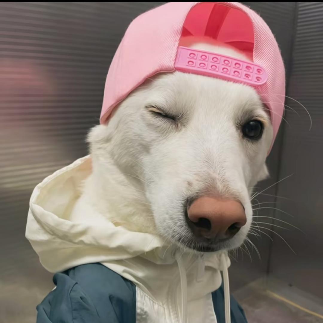 小靳