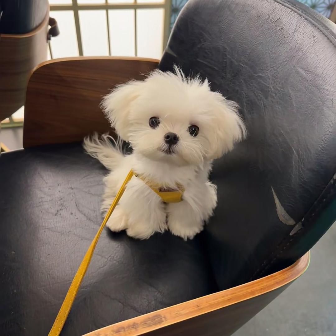 小滴宝