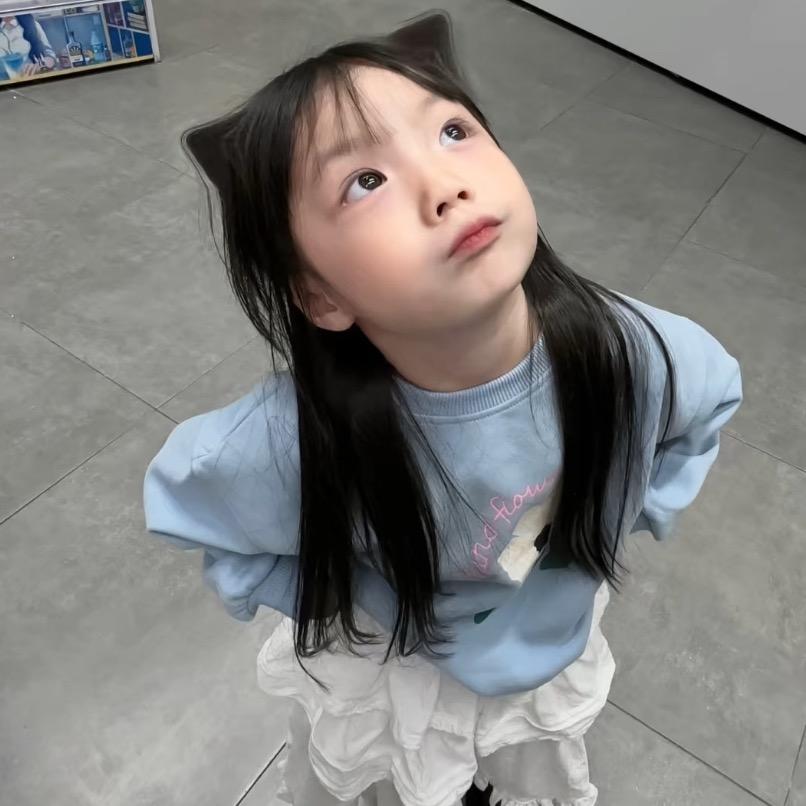 燕子👾