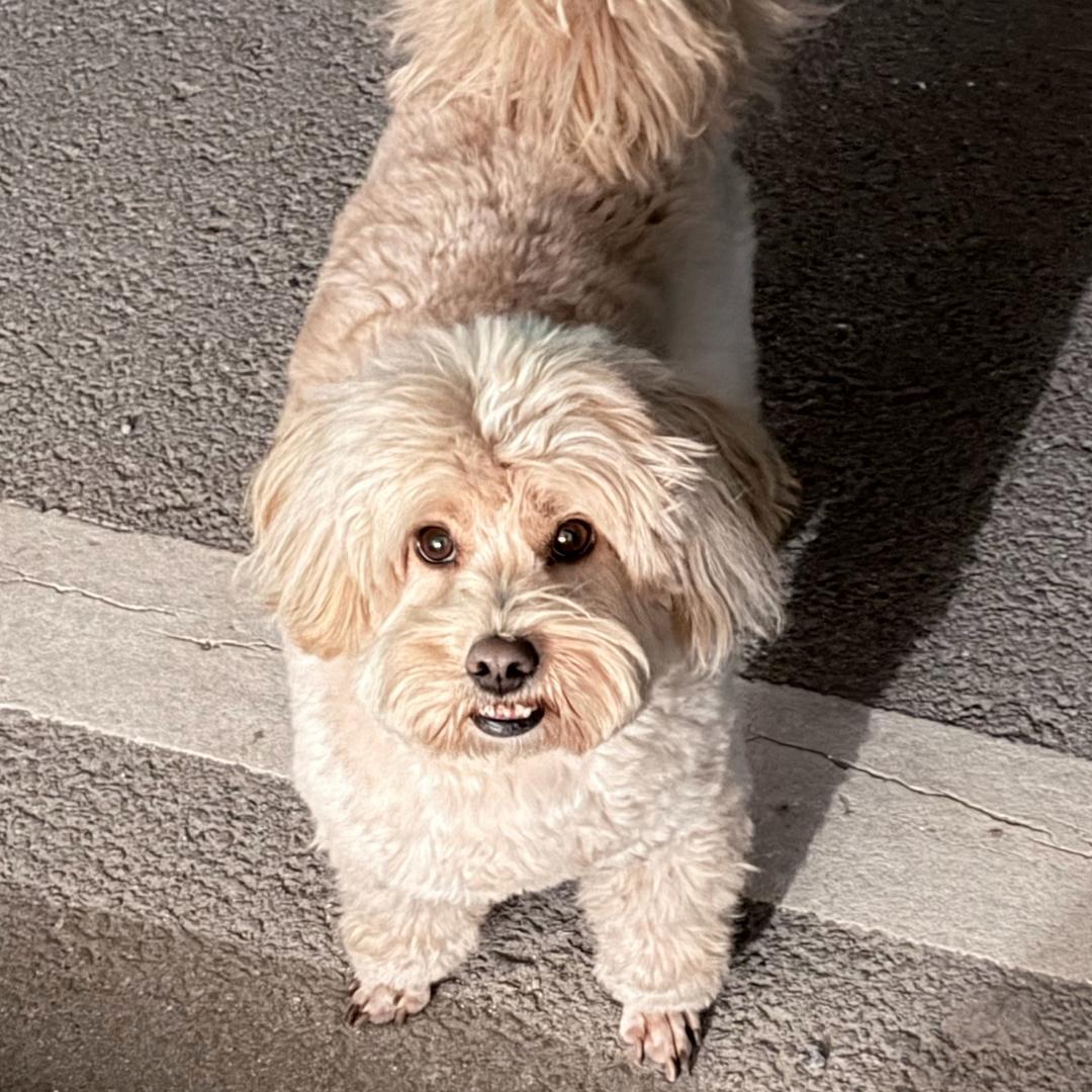 我刮彩票中一百万💧💧💧