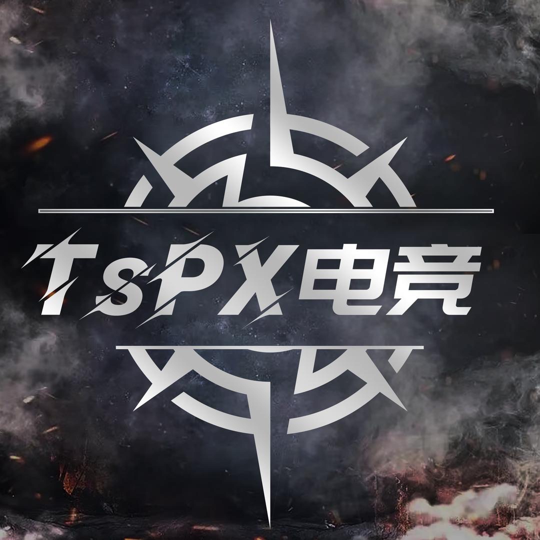 TsPX电竞(无畏契约)