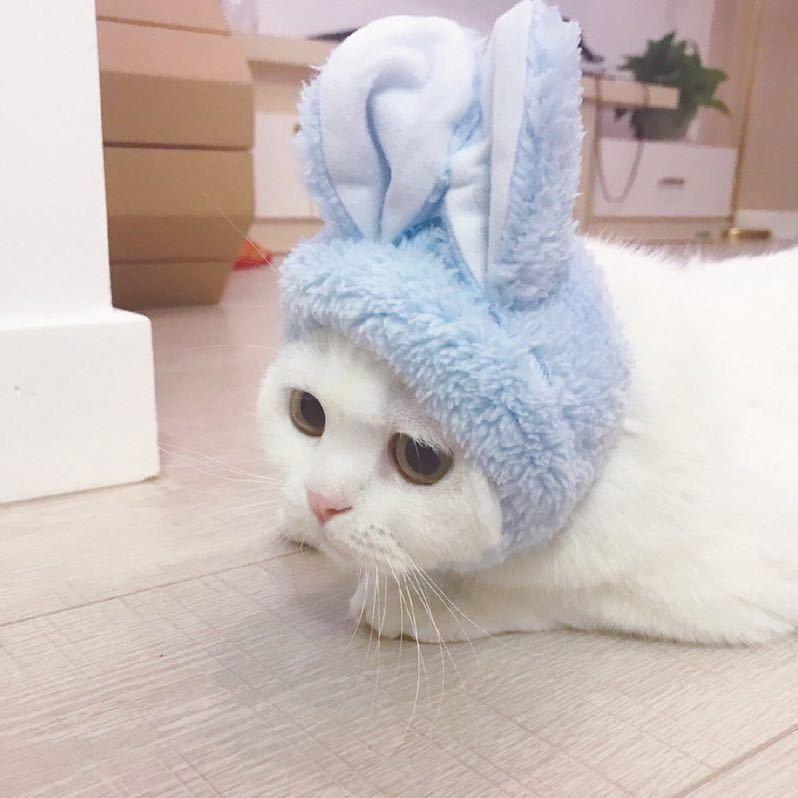 星常明