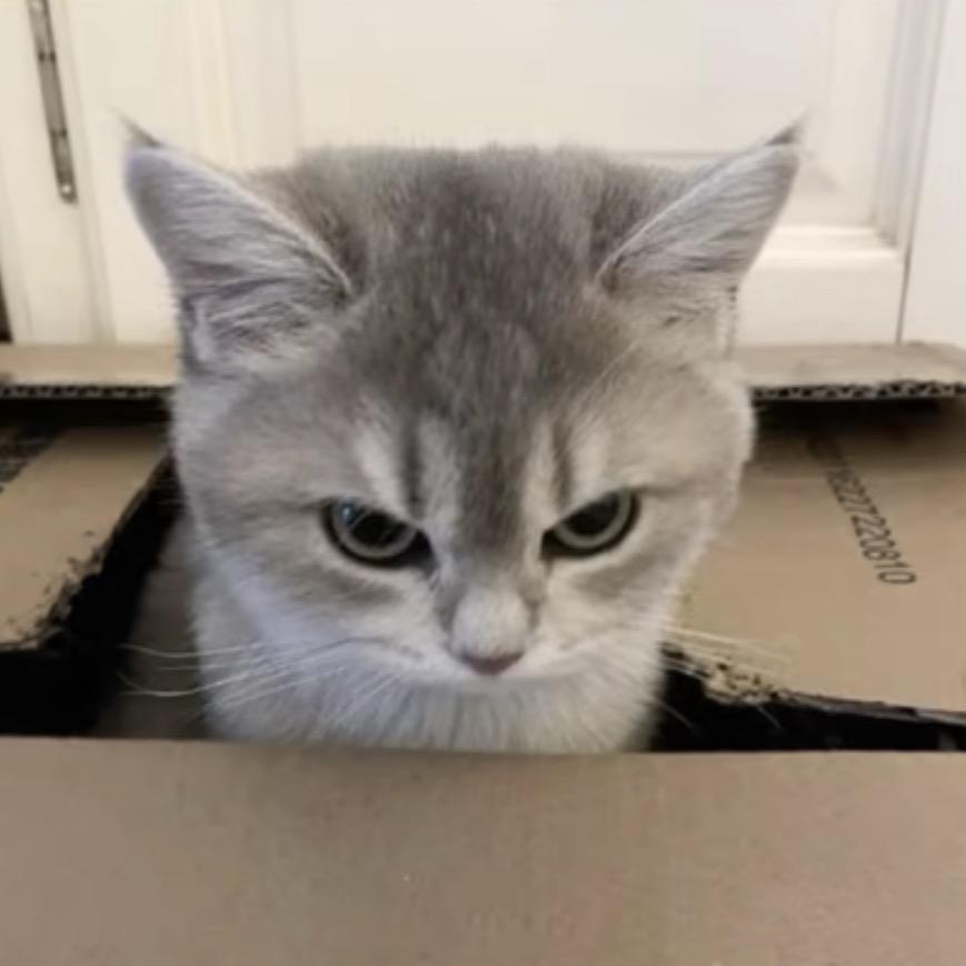 牛爷爷cos性感猫娘勾引隔壁人妻壮壮妈