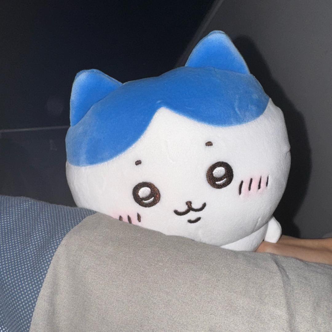 低头呢楠