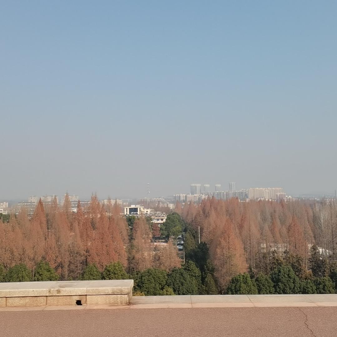 思思
