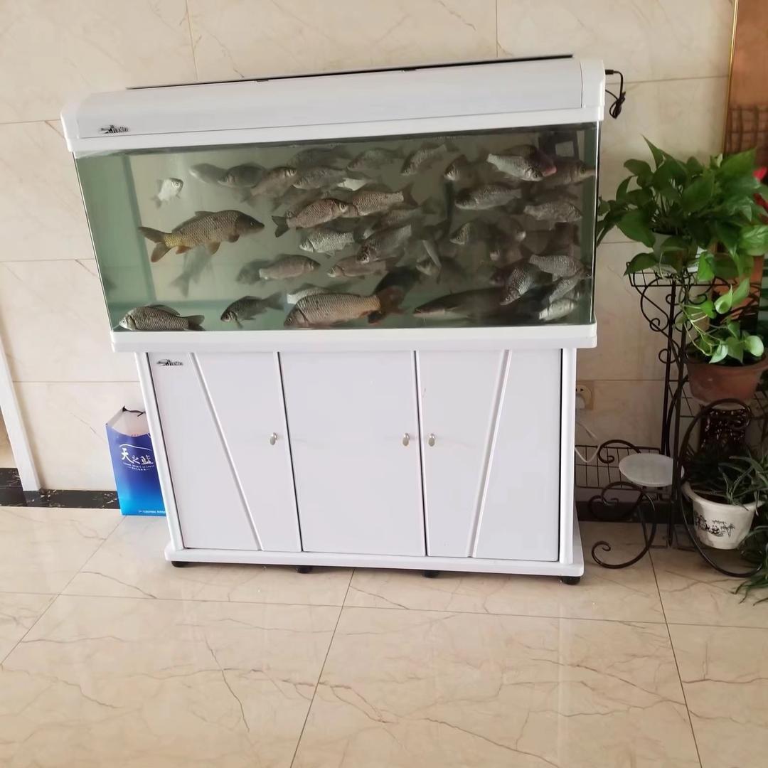 小A