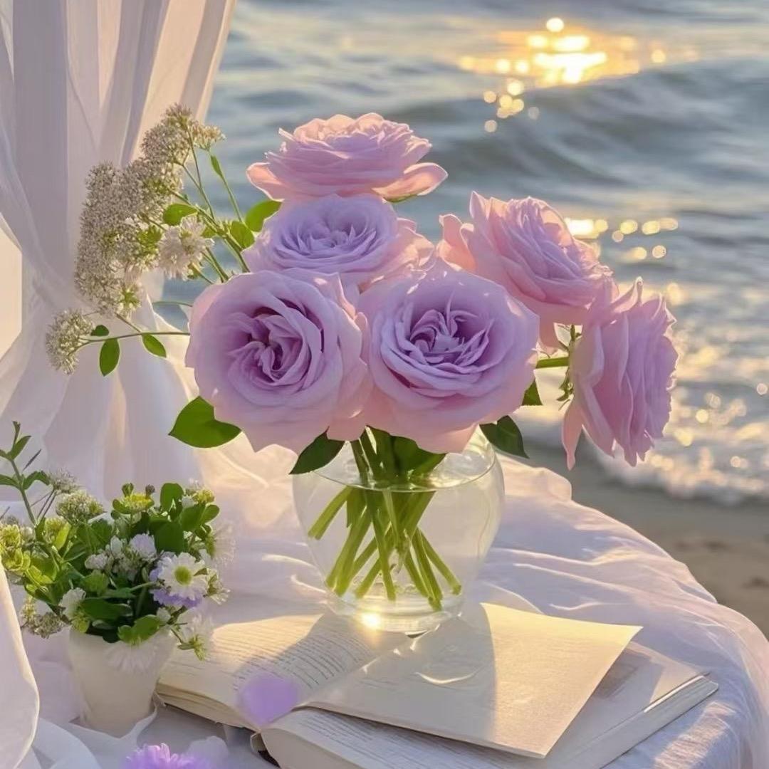 💕禅韵～慈静💕