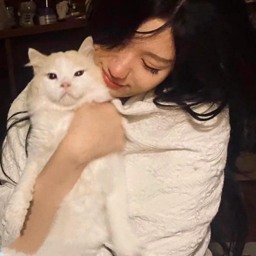 ㅤㅤㅤㅤㅤㅤㅤㅤㅤㅤㅤㅤㅤ