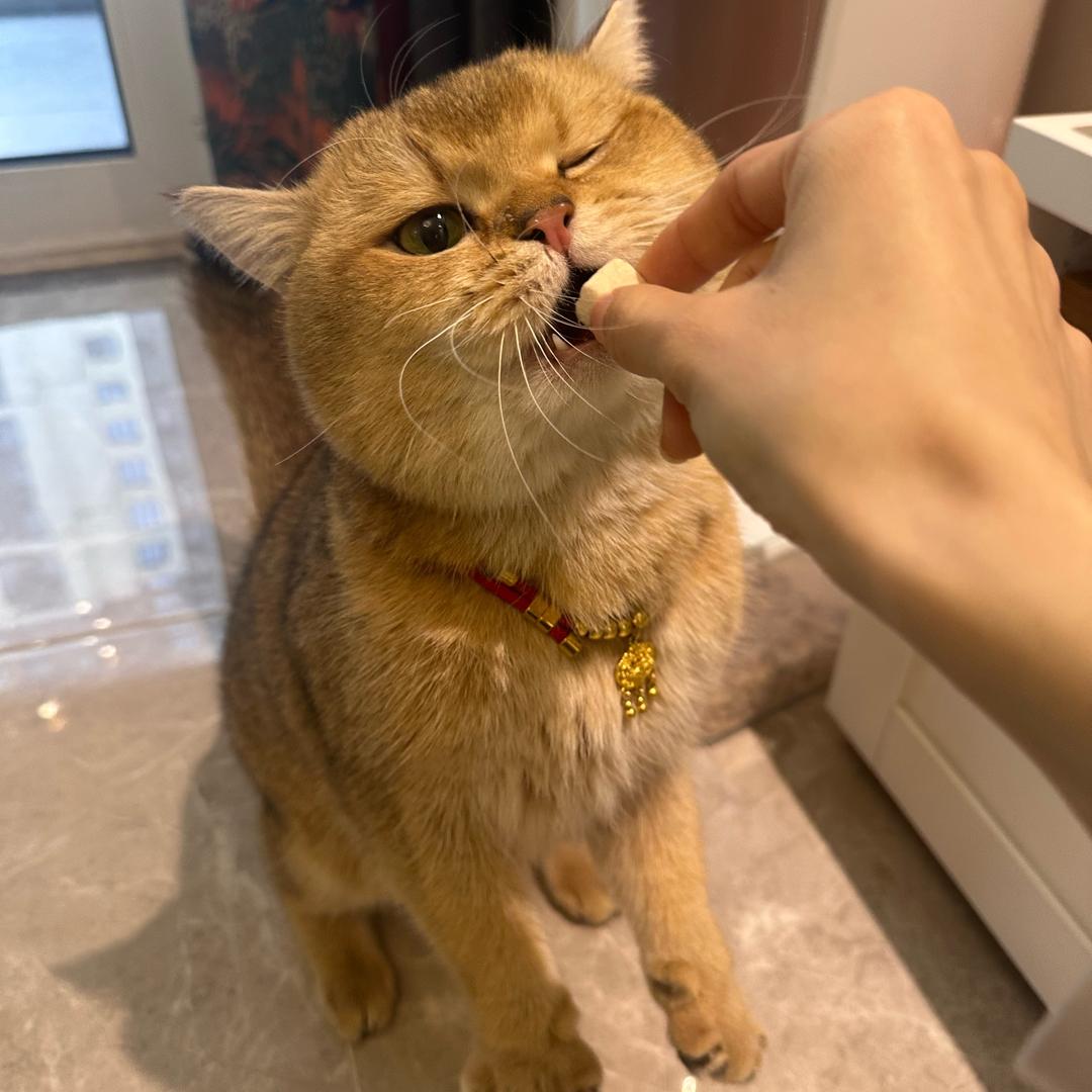 汤姆皮
