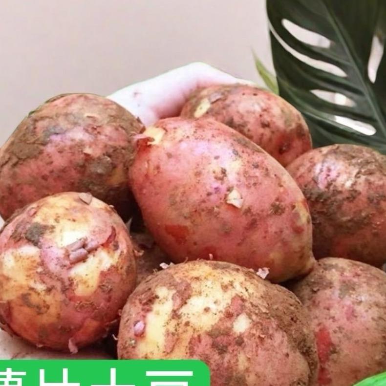 小吃技术