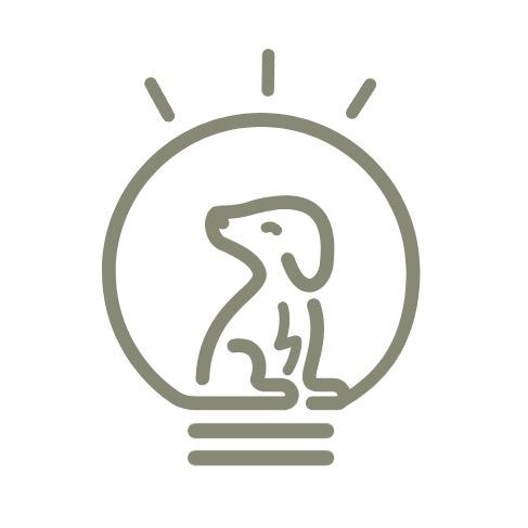 躺赢狗电竞（三角洲行动）