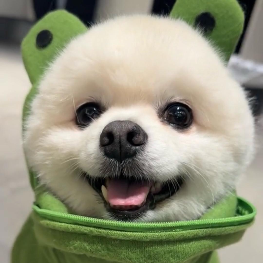 王饱饱