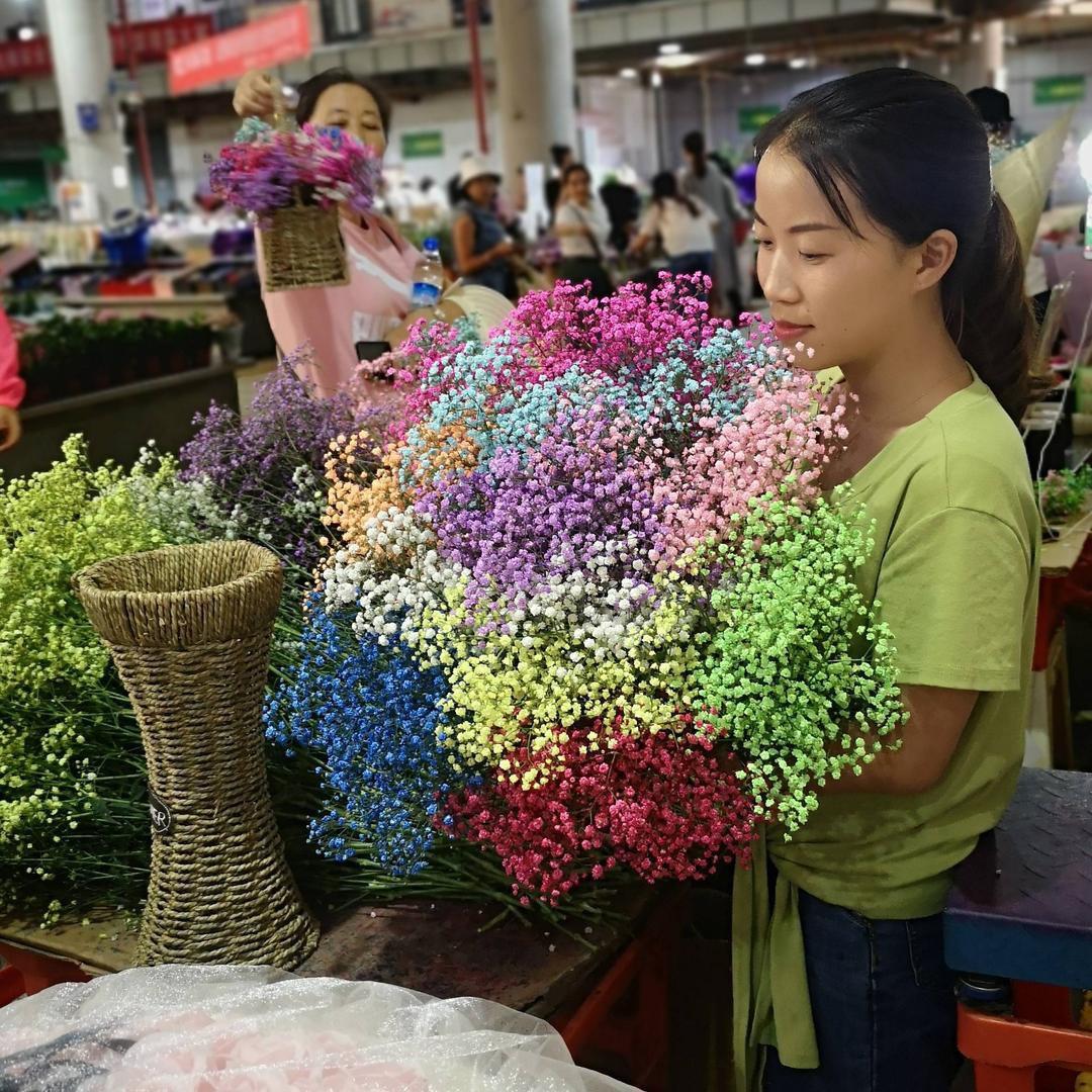 曦月花卉