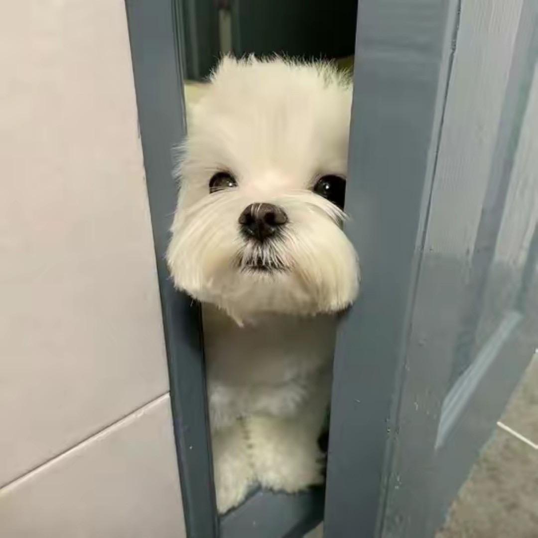 ^懒洋洋啊💙