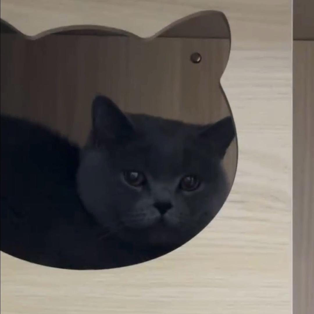 鑫阁笼具(小号)