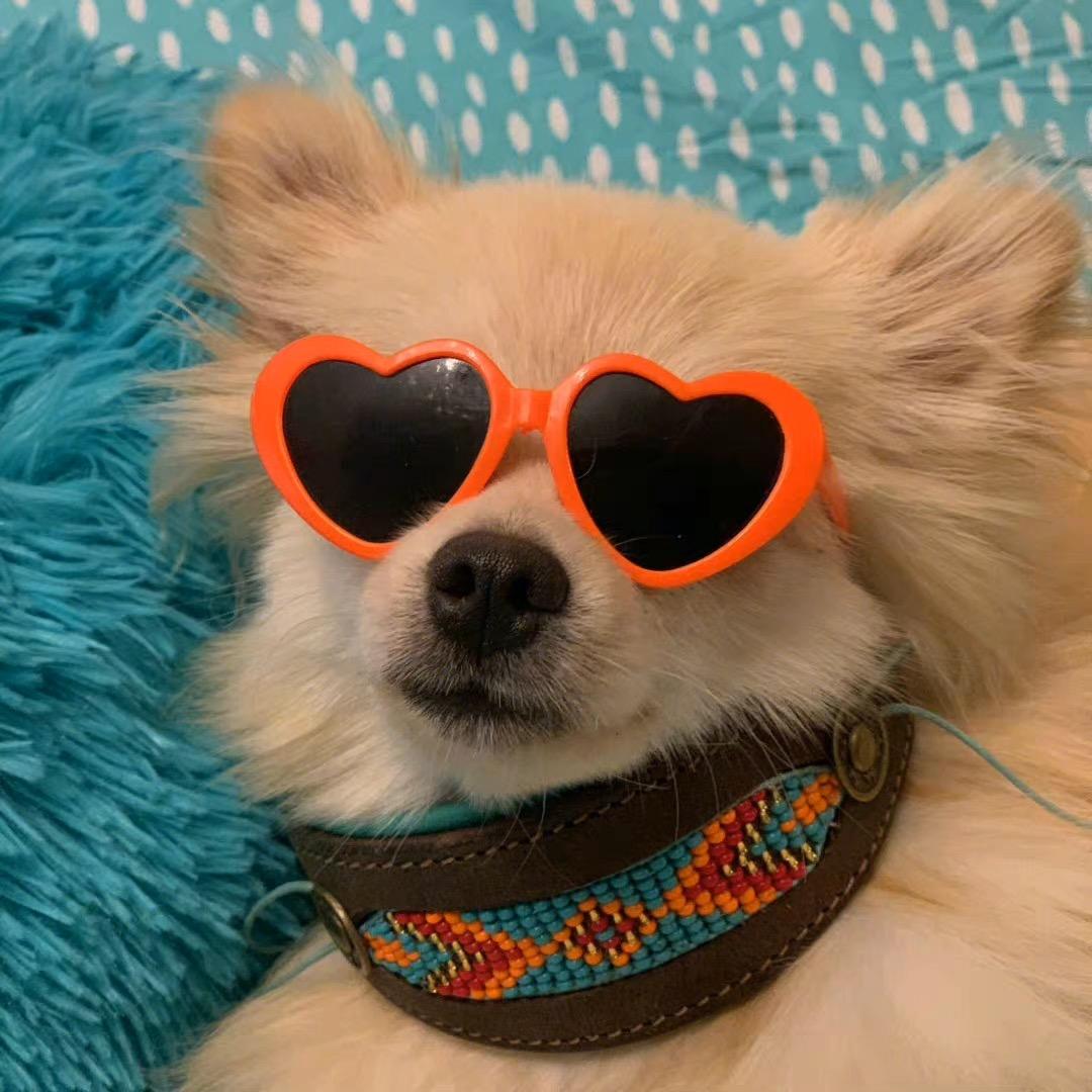 北京同城殡仪服务