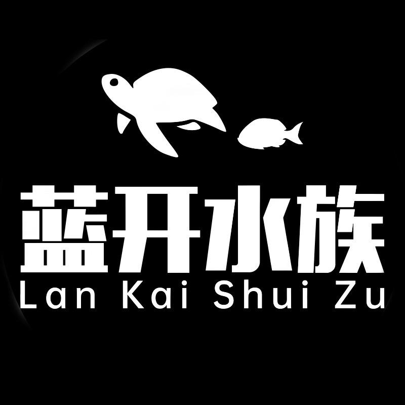 蓝开水族