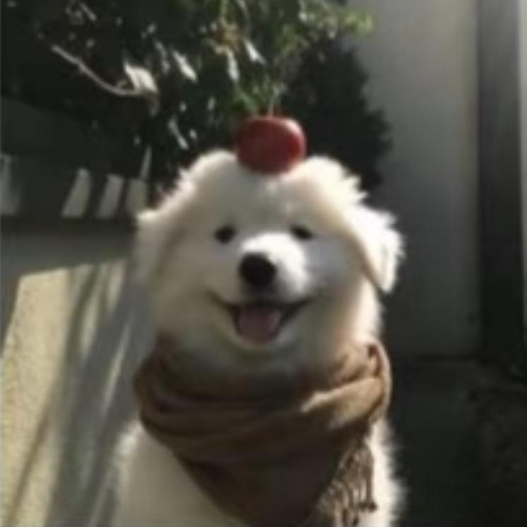 酒精过敏的帅哥