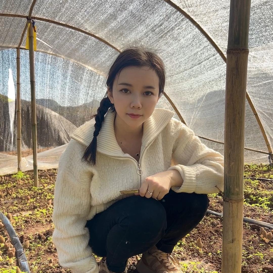 羊肚菌农人