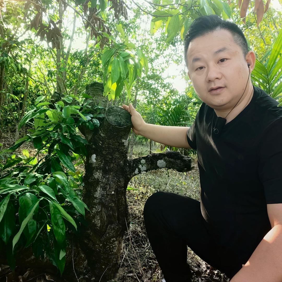华香鼎韵