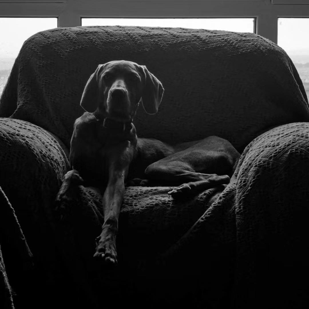 所以你睡了没丶