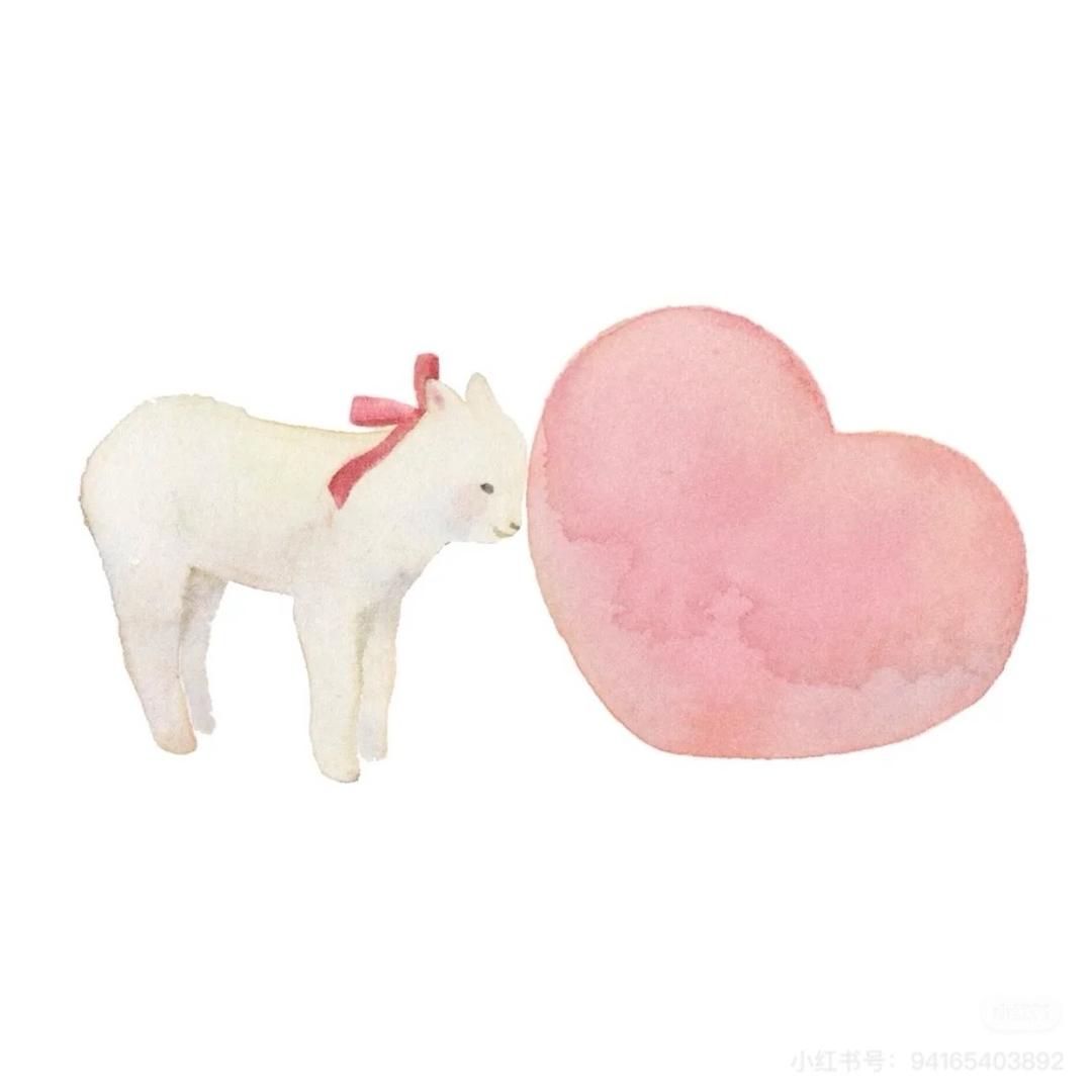 懒洋洋🦙