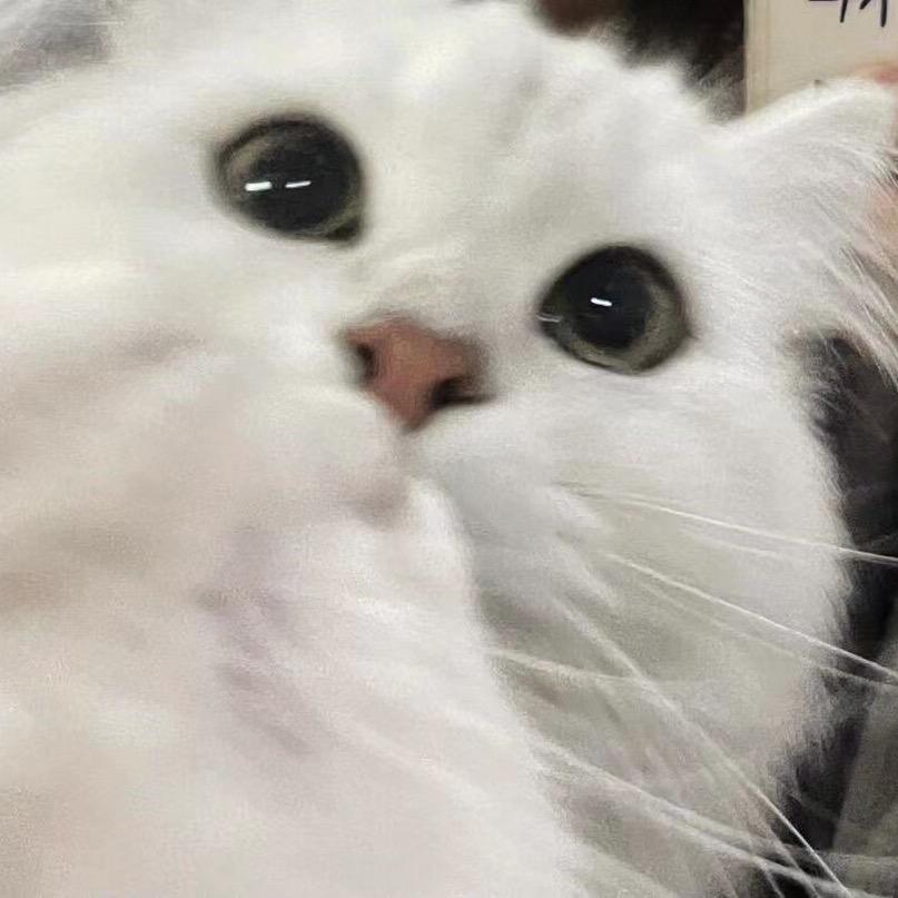 天涯说综艺