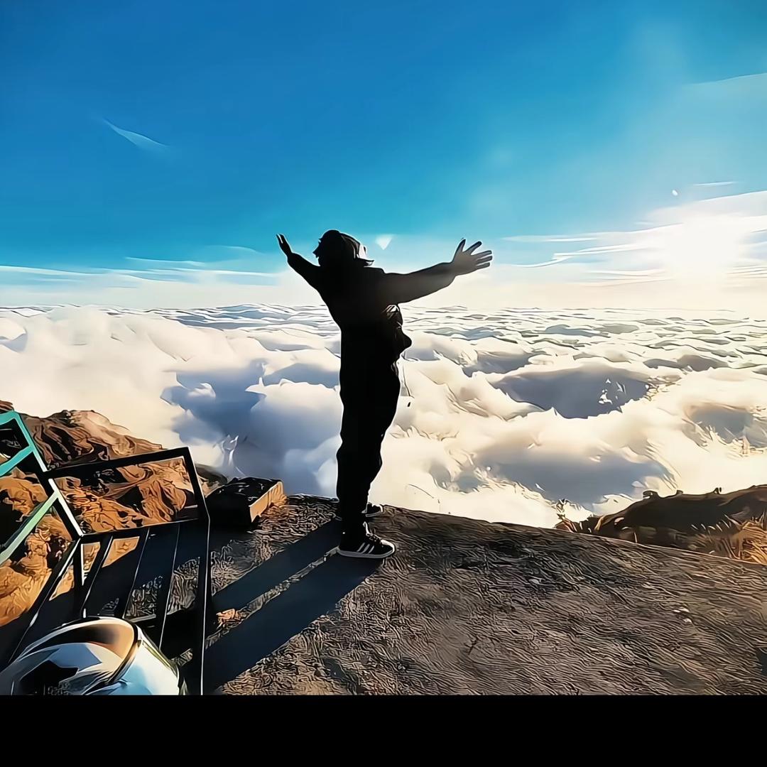 👑👑👑👑👑——————