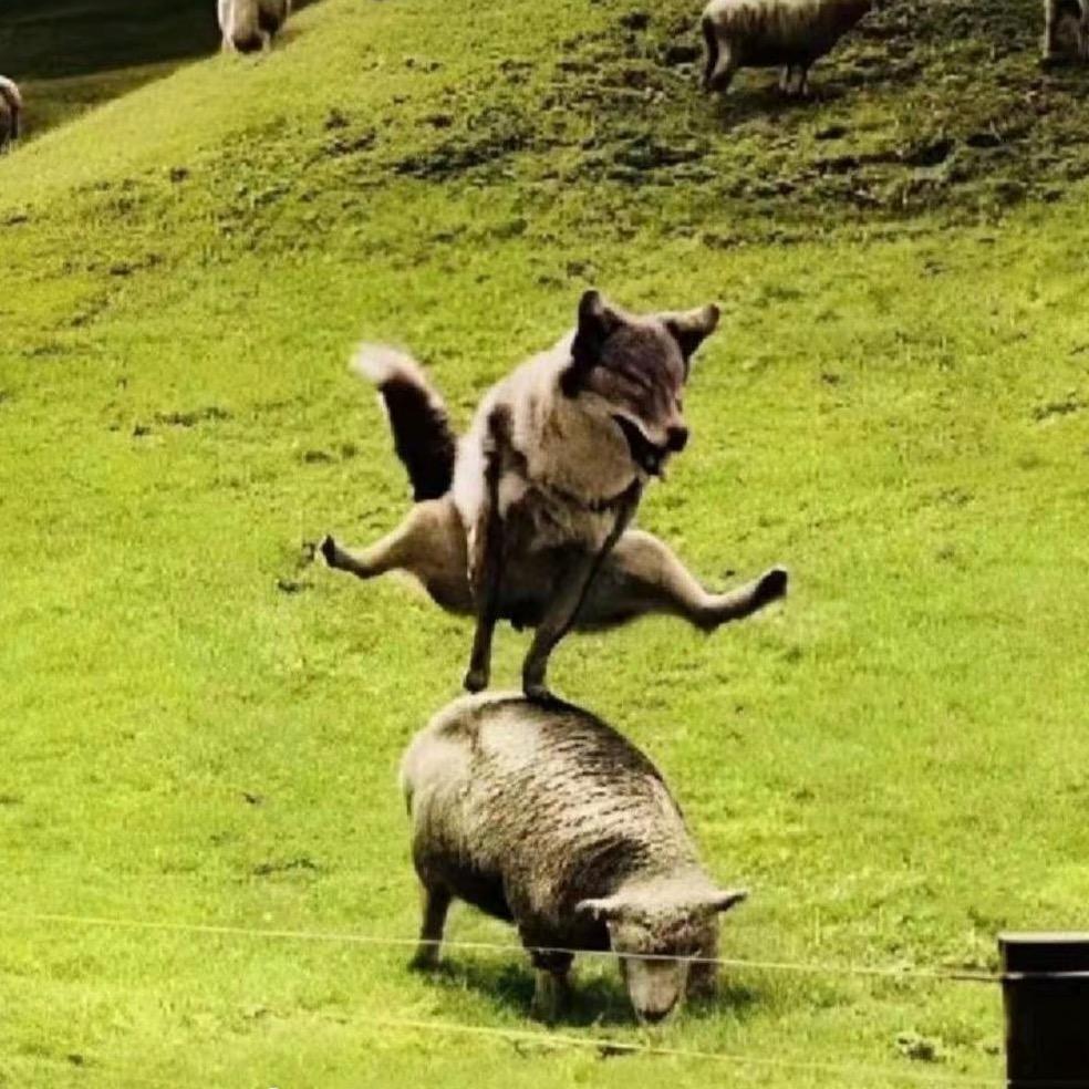 水枪装尿呲谁谁叫！