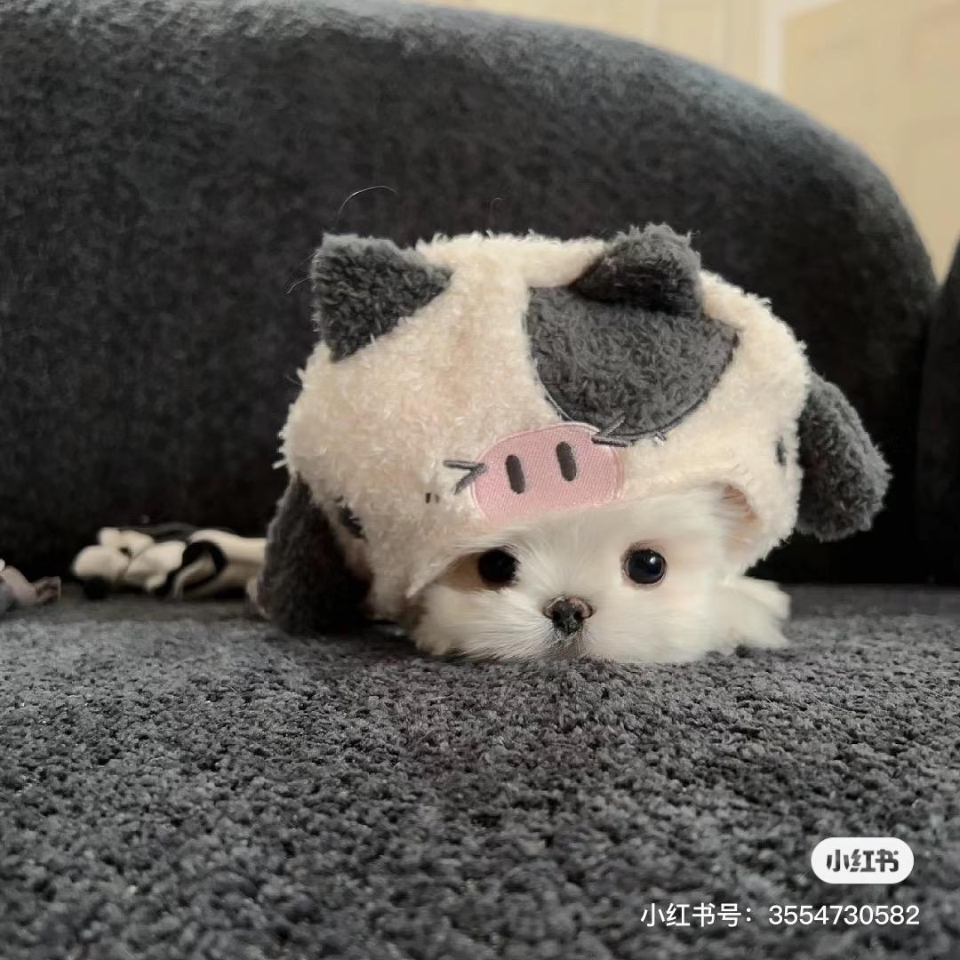 ⌯ᵔ⩊ᵔ