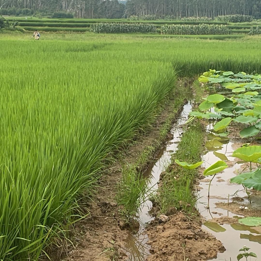 守村人：户外活动